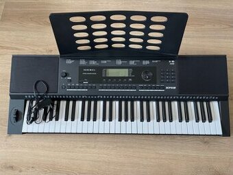Kurzweil KP110