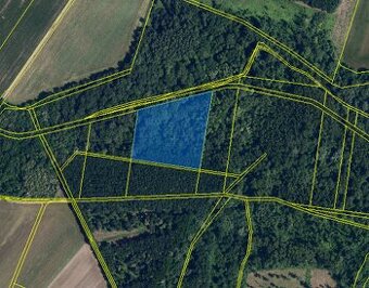 Prodej, les, 12559 m2, Hrabětice - 1