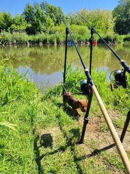 Nash dwarf 10ft 2,75lb plus navijaky