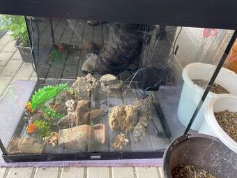 Akvárium a terárium