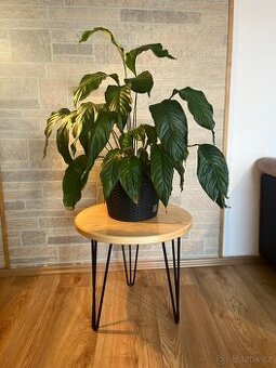 Kulatý stoleček z masivu Jasan