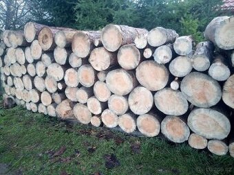 Palivové dřevo