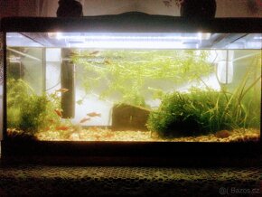 AKVÁRIUM 60x30x30- 54 litrů + kryt LED DIVERSA