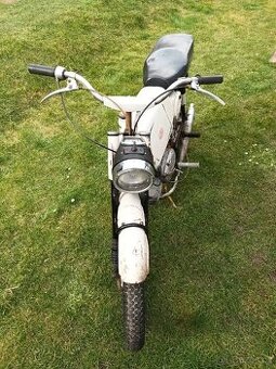 Jawa mustang