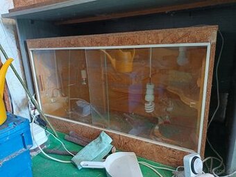 Terarium
