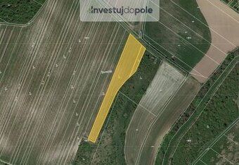 Prodej vinice v k.ú. Popice