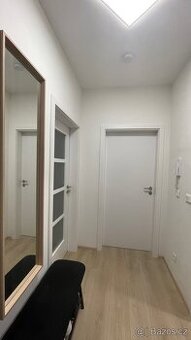 K pronájmu 2+kk 42,6 m² s balkonem