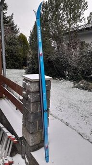 Běžky Artis Cristal 205 cm