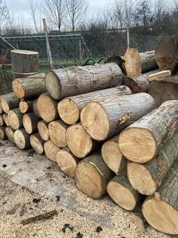 Palivové dřevo - LÍPA - 1m neštípané