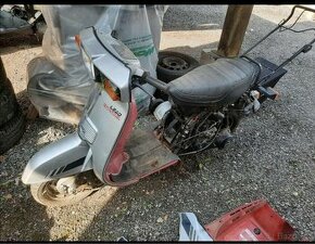 Honda lead