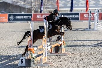 Sportovní pony kat. A