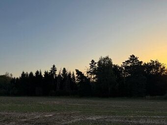 Prodej lesního pozemku v k.ú. Horní Bukovina