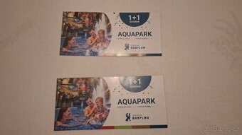 Vstupenka 1 + 1 zdarma Aquapark Babylon