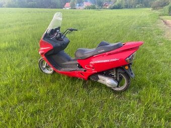 Skutr yuki 250 ccm