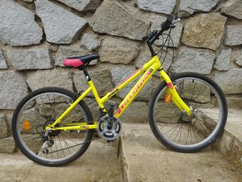 Detske kolo, 24"