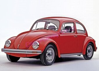VW Brouk