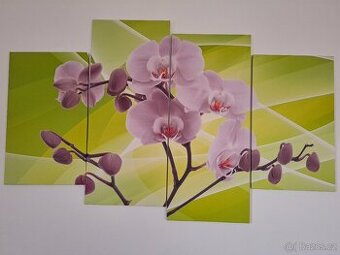 4 dílný obraz na plátně