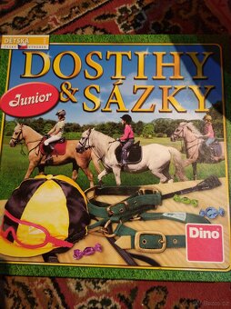 Dostihy a sázky junior