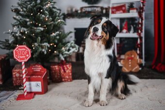 Vánoční fotopozadí - 2x1,5m