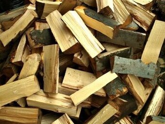 Palivové dřevo