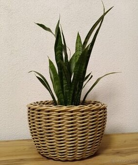 Obal na květináč z umělého ratanu – 10 l