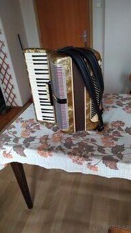 Akordeon Delicia Ligna