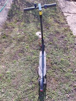 Xiaomi Mi Electric Scooter Pro 2