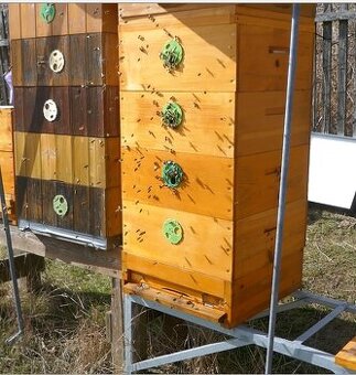 Vyzimovaná včelstva, oddělky 39 x 17