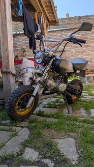 Minimotorka Shineray