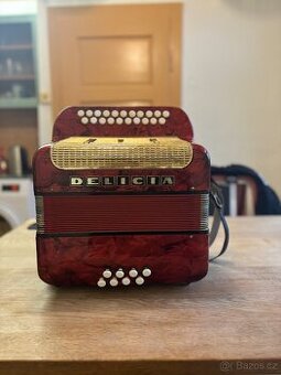 Heligonka - 1