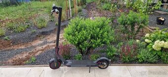 Elektrokoloběžka Xiaomi Scooter 2