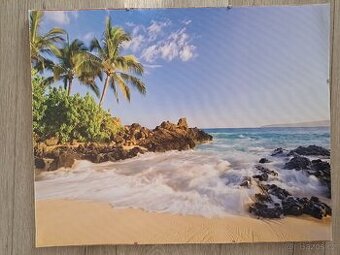 Euroklip obraz PLÁŽ 40x50 cm