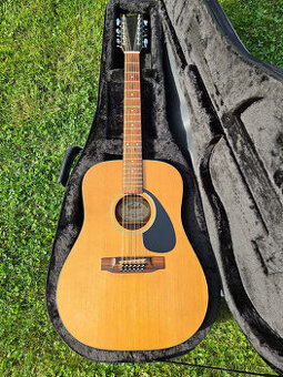 Celomasivní akustická 12 strunná kytara FURCH