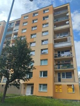 Pronajmu 1+1 na Košutce - 1