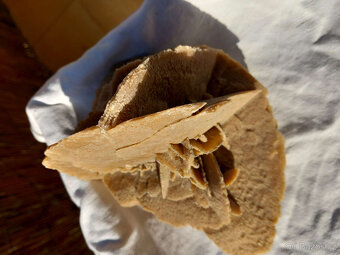 Minerál, nerost, sádrovec - pouštní růže 2