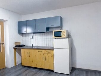 Pronájem bytu 1+kk, 37 m², U Boleveckeho rybnika, Plzeň