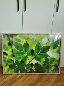 Plakát, zelený, listy, 70x100 cm