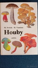 Houby - 1