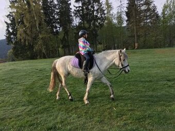 Sháním parťáka na druhého koně