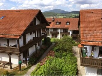 Byt 1+kk Zwiesel - 1