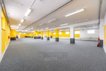 Pronájem obchodních prostor, 800 m2, v obchodní lokalitě Str