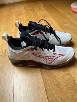 Boty Mizuno Wave Momentum 3