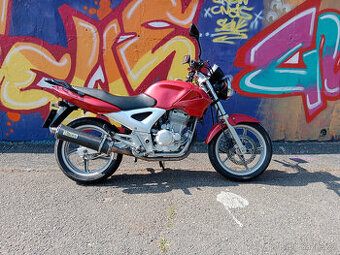 Honda CBF 250 - 1