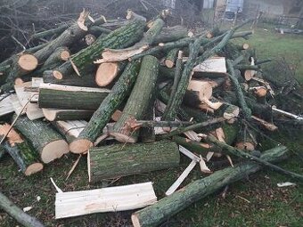Prodám palivové dřevo
