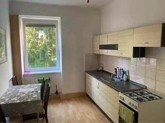 Pronájem bytu 1+1 56 m² - 1