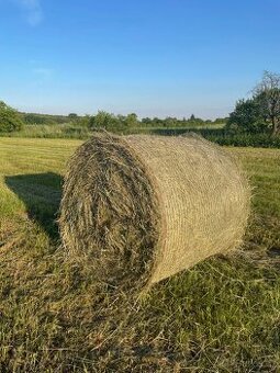Seno - kulaté balíky