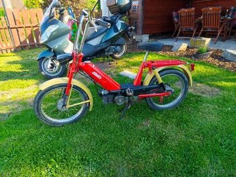 Babetta 207