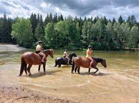 Tábor pro opravdové koňáky