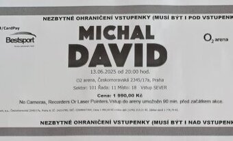 2x vstupenka na Michala Davida