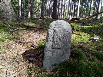 Koupím LOGAN 1.4 MPI